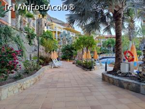 [P33] Hotel Cordial Mogan Playa; către piscină » foto by crismis
 - 
<span class="allrVoted glyphicon glyphicon-heart hidden" id="av1488952"></span>
<a class="m-l-10 hidden" id="sv1488952" onclick="voting_Foto_DelVot(,1488952,29042)" role="button">șterge vot <span class="glyphicon glyphicon-remove"></span></a>
<a id="v91488952" class=" c-red"  onclick="voting_Foto_SetVot(1488952)" role="button"><span class="glyphicon glyphicon-heart-empty"></span> <b>LIKE</b> = Votează poza</a> <img class="hidden"  id="f1488952W9" src="/imagini/loader.gif" border="0" /><span class="AjErrMes hidden" id="e1488952ErM"></span>