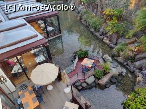 [P37] Hotel Cordial Mogan Playa; vedere spre zona exterioară a restaurantului; se remarcă 'masa de pe insulă' » foto by crismis
 - 
<span class="allrVoted glyphicon glyphicon-heart hidden" id="av1488956"></span>
<a class="m-l-10 hidden" id="sv1488956" onclick="voting_Foto_DelVot(,1488956,29042)" role="button">șterge vot <span class="glyphicon glyphicon-remove"></span></a>
<a id="v91488956" class=" c-red"  onclick="voting_Foto_SetVot(1488956)" role="button"><span class="glyphicon glyphicon-heart-empty"></span> <b>LIKE</b> = Votează poza</a> <img class="hidden"  id="f1488956W9" src="/imagini/loader.gif" border="0" /><span class="AjErrMes hidden" id="e1488956ErM"></span>