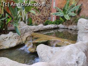 [P74] Hotel Cordial Mogan Playa; iazuri și cascade » foto by crismis
 - 
<span class="allrVoted glyphicon glyphicon-heart hidden" id="av1488993"></span>
<a class="m-l-10 hidden" id="sv1488993" onclick="voting_Foto_DelVot(,1488993,29042)" role="button">șterge vot <span class="glyphicon glyphicon-remove"></span></a>
<a id="v91488993" class=" c-red"  onclick="voting_Foto_SetVot(1488993)" role="button"><span class="glyphicon glyphicon-heart-empty"></span> <b>LIKE</b> = Votează poza</a> <img class="hidden"  id="f1488993W9" src="/imagini/loader.gif" border="0" /><span class="AjErrMes hidden" id="e1488993ErM"></span>