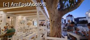 [P04] Taverna Agoni Grammi, Chora Astypalea, de la masă » foto by irinad
 - 
<span class="allrVoted glyphicon glyphicon-heart hidden" id="av1493480"></span>
<a class="m-l-10 hidden" id="sv1493480" onclick="voting_Foto_DelVot(,1493480,29075)" role="button">șterge vot <span class="glyphicon glyphicon-remove"></span></a>
<a id="v91493480" class=" c-red"  onclick="voting_Foto_SetVot(1493480)" role="button"><span class="glyphicon glyphicon-heart-empty"></span> <b>LIKE</b> = Votează poza</a> <img class="hidden"  id="f1493480W9" src="/imagini/loader.gif" border="0" /><span class="AjErrMes hidden" id="e1493480ErM"></span>