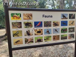 [P43] Panou informativ pe drumul spre plajă » foto by crismis
 - 
<span class="allrVoted glyphicon glyphicon-heart hidden" id="av1499738"></span>
<a class="m-l-10 hidden" id="sv1499738" onclick="voting_Foto_DelVot(,1499738,29133)" role="button">șterge vot <span class="glyphicon glyphicon-remove"></span></a>
<a id="v91499738" class=" c-red"  onclick="voting_Foto_SetVot(1499738)" role="button"><span class="glyphicon glyphicon-heart-empty"></span> <b>LIKE</b> = Votează poza</a> <img class="hidden"  id="f1499738W9" src="/imagini/loader.gif" border="0" /><span class="AjErrMes hidden" id="e1499738ErM"></span>