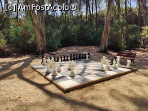 [P48] Jocul de șah își așteaptă mușteriii » foto by crismis
 - 
<span class="allrVoted glyphicon glyphicon-heart hidden" id="av1499743"></span>
<a class="m-l-10 hidden" id="sv1499743" onclick="voting_Foto_DelVot(,1499743,29133)" role="button">șterge vot <span class="glyphicon glyphicon-remove"></span></a>
<a id="v91499743" class=" c-red"  onclick="voting_Foto_SetVot(1499743)" role="button"><span class="glyphicon glyphicon-heart-empty"></span> <b>LIKE</b> = Votează poza</a> <img class="hidden"  id="f1499743W9" src="/imagini/loader.gif" border="0" /><span class="AjErrMes hidden" id="e1499743ErM"></span>