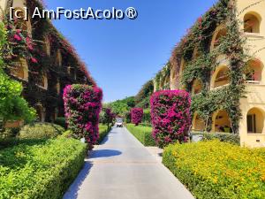 [P66] Blocurile 7 și 8, zona Private Lodge » foto by crismis
 - 
<span class="allrVoted glyphicon glyphicon-heart hidden" id="av1499761"></span>
<a class="m-l-10 hidden" id="sv1499761" onclick="voting_Foto_DelVot(,1499761,29133)" role="button">șterge vot <span class="glyphicon glyphicon-remove"></span></a>
<a id="v91499761" class=" c-red"  onclick="voting_Foto_SetVot(1499761)" role="button"><span class="glyphicon glyphicon-heart-empty"></span> <b>LIKE</b> = Votează poza</a> <img class="hidden"  id="f1499761W9" src="/imagini/loader.gif" border="0" /><span class="AjErrMes hidden" id="e1499761ErM"></span>