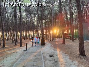 [P71] Plimbare spre plajă în scop de apus » foto by crismis
 - 
<span class="allrVoted glyphicon glyphicon-heart hidden" id="av1499766"></span>
<a class="m-l-10 hidden" id="sv1499766" onclick="voting_Foto_DelVot(,1499766,29133)" role="button">șterge vot <span class="glyphicon glyphicon-remove"></span></a>
<a id="v91499766" class=" c-red"  onclick="voting_Foto_SetVot(1499766)" role="button"><span class="glyphicon glyphicon-heart-empty"></span> <b>LIKE</b> = Votează poza</a> <img class="hidden"  id="f1499766W9" src="/imagini/loader.gif" border="0" /><span class="AjErrMes hidden" id="e1499766ErM"></span>