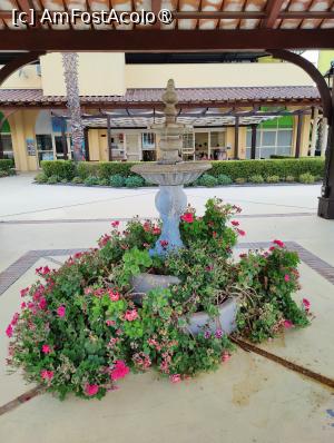 [P79] La pas prin complex » foto by crismis
 - 
<span class="allrVoted glyphicon glyphicon-heart hidden" id="av1499774"></span>
<a class="m-l-10 hidden" id="sv1499774" onclick="voting_Foto_DelVot(,1499774,29133)" role="button">șterge vot <span class="glyphicon glyphicon-remove"></span></a>
<a id="v91499774" class=" c-red"  onclick="voting_Foto_SetVot(1499774)" role="button"><span class="glyphicon glyphicon-heart-empty"></span> <b>LIKE</b> = Votează poza</a> <img class="hidden"  id="f1499774W9" src="/imagini/loader.gif" border="0" /><span class="AjErrMes hidden" id="e1499774ErM"></span>