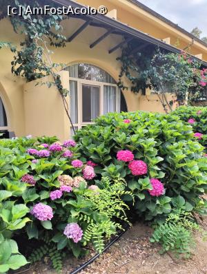 [P85] La pas prin complex » foto by crismis
 - 
<span class="allrVoted glyphicon glyphicon-heart hidden" id="av1499780"></span>
<a class="m-l-10 hidden" id="sv1499780" onclick="voting_Foto_DelVot(,1499780,29133)" role="button">șterge vot <span class="glyphicon glyphicon-remove"></span></a>
<a id="v91499780" class=" c-red"  onclick="voting_Foto_SetVot(1499780)" role="button"><span class="glyphicon glyphicon-heart-empty"></span> <b>LIKE</b> = Votează poza</a> <img class="hidden"  id="f1499780W9" src="/imagini/loader.gif" border="0" /><span class="AjErrMes hidden" id="e1499780ErM"></span>