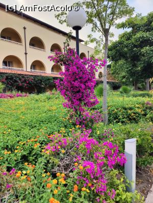 [P88] La pas prin complex » foto by crismis
 - 
<span class="allrVoted glyphicon glyphicon-heart hidden" id="av1499783"></span>
<a class="m-l-10 hidden" id="sv1499783" onclick="voting_Foto_DelVot(,1499783,29133)" role="button">șterge vot <span class="glyphicon glyphicon-remove"></span></a>
<a id="v91499783" class=" c-red"  onclick="voting_Foto_SetVot(1499783)" role="button"><span class="glyphicon glyphicon-heart-empty"></span> <b>LIKE</b> = Votează poza</a> <img class="hidden"  id="f1499783W9" src="/imagini/loader.gif" border="0" /><span class="AjErrMes hidden" id="e1499783ErM"></span>