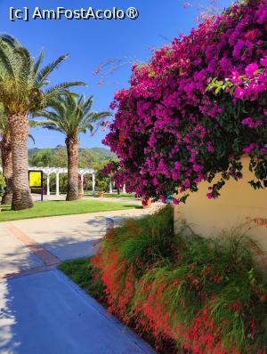 [P90] La pas prin complex » foto by crismis
 - 
<span class="allrVoted glyphicon glyphicon-heart hidden" id="av1499785"></span>
<a class="m-l-10 hidden" id="sv1499785" onclick="voting_Foto_DelVot(,1499785,29133)" role="button">șterge vot <span class="glyphicon glyphicon-remove"></span></a>
<a id="v91499785" class=" c-red"  onclick="voting_Foto_SetVot(1499785)" role="button"><span class="glyphicon glyphicon-heart-empty"></span> <b>LIKE</b> = Votează poza</a> <img class="hidden"  id="f1499785W9" src="/imagini/loader.gif" border="0" /><span class="AjErrMes hidden" id="e1499785ErM"></span>