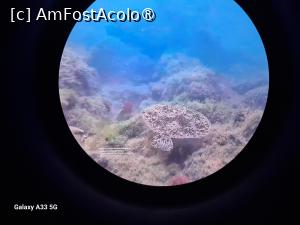 [P42] Cazinoul din Constanța » foto by nicole33
 - 
<span class="allrVoted glyphicon glyphicon-heart hidden" id="av1517371"></span>
<a class="m-l-10 hidden" id="sv1517371" onclick="voting_Foto_DelVot(,1517371,29149)" role="button">șterge vot <span class="glyphicon glyphicon-remove"></span></a>
<a id="v91517371" class=" c-red"  onclick="voting_Foto_SetVot(1517371)" role="button"><span class="glyphicon glyphicon-heart-empty"></span> <b>LIKE</b> = Votează poza</a> <img class="hidden"  id="f1517371W9" src="/imagini/loader.gif" border="0" /><span class="AjErrMes hidden" id="e1517371ErM"></span>