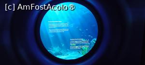 [P20] Muzeul imersiv - despre ecosistemul mării. » foto by tata123 🔱
 - 
<span class="allrVoted glyphicon glyphicon-heart hidden" id="av1516061"></span>
<a class="m-l-10 hidden" id="sv1516061" onclick="voting_Foto_DelVot(,1516061,29149)" role="button">șterge vot <span class="glyphicon glyphicon-remove"></span></a>
<a id="v91516061" class=" c-red"  onclick="voting_Foto_SetVot(1516061)" role="button"><span class="glyphicon glyphicon-heart-empty"></span> <b>LIKE</b> = Votează poza</a> <img class="hidden"  id="f1516061W9" src="/imagini/loader.gif" border="0" /><span class="AjErrMes hidden" id="e1516061ErM"></span>