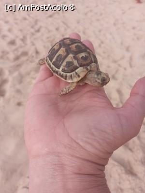 [P17]  -- <small>// FĂRĂ DESCRIERE</small> » foto by Ella Elle
 - 
<span class="allrVoted glyphicon glyphicon-heart hidden" id="av1504060"></span>
<a class="m-l-10 hidden" id="sv1504060" onclick="voting_Foto_DelVot(,1504060,29162)" role="button">șterge vot <span class="glyphicon glyphicon-remove"></span></a>
<a id="v91504060" class=" c-red"  onclick="voting_Foto_SetVot(1504060)" role="button"><span class="glyphicon glyphicon-heart-empty"></span> <b>LIKE</b> = Votează poza</a> <img class="hidden"  id="f1504060W9" src="/imagini/loader.gif" border="0" /><span class="AjErrMes hidden" id="e1504060ErM"></span>