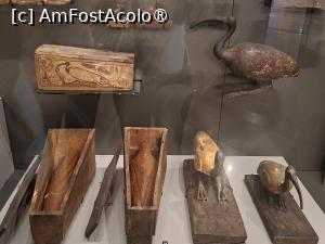 [P73] GEM, Galeria 10, Cultul animalelor sacre, păsări, mamifere, reptile erau sacrificate și mumificate, aici ibiși, Perioada Târzie » foto by mprofeanu
 - 
<span class="allrVoted glyphicon glyphicon-heart hidden" id="av1527017"></span>
<a class="m-l-10 hidden" id="sv1527017" onclick="voting_Foto_DelVot(,1527017,29165)" role="button">șterge vot <span class="glyphicon glyphicon-remove"></span></a>
<a id="v91527017" class=" c-red"  onclick="voting_Foto_SetVot(1527017)" role="button"><span class="glyphicon glyphicon-heart-empty"></span> <b>LIKE</b> = Votează poza</a> <img class="hidden"  id="f1527017W9" src="/imagini/loader.gif" border="0" /><span class="AjErrMes hidden" id="e1527017ErM"></span>