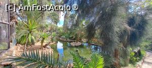 [P87] La plimbare pe aleile Quinta das Palmeiras » foto by irinad
 - 
<span class="allrVoted glyphicon glyphicon-heart hidden" id="av1505363"></span>
<a class="m-l-10 hidden" id="sv1505363" onclick="voting_Foto_DelVot(,1505363,29172)" role="button">șterge vot <span class="glyphicon glyphicon-remove"></span></a>
<a id="v91505363" class=" c-red"  onclick="voting_Foto_SetVot(1505363)" role="button"><span class="glyphicon glyphicon-heart-empty"></span> <b>LIKE</b> = Votează poza</a> <img class="hidden"  id="f1505363W9" src="/imagini/loader.gif" border="0" /><span class="AjErrMes hidden" id="e1505363ErM"></span>