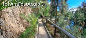 [P88] La plimbare pe aleile Quinta das Palmeiras » foto by irinad
 - 
<span class="allrVoted glyphicon glyphicon-heart hidden" id="av1505364"></span>
<a class="m-l-10 hidden" id="sv1505364" onclick="voting_Foto_DelVot(,1505364,29172)" role="button">șterge vot <span class="glyphicon glyphicon-remove"></span></a>
<a id="v91505364" class=" c-red"  onclick="voting_Foto_SetVot(1505364)" role="button"><span class="glyphicon glyphicon-heart-empty"></span> <b>LIKE</b> = Votează poza</a> <img class="hidden"  id="f1505364W9" src="/imagini/loader.gif" border="0" /><span class="AjErrMes hidden" id="e1505364ErM"></span>