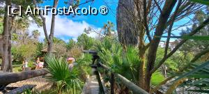 [P89] La plimbare pe aleile Quinta das Palmeiras » foto by irinad
 - 
<span class="allrVoted glyphicon glyphicon-heart hidden" id="av1505365"></span>
<a class="m-l-10 hidden" id="sv1505365" onclick="voting_Foto_DelVot(,1505365,29172)" role="button">șterge vot <span class="glyphicon glyphicon-remove"></span></a>
<a id="v91505365" class=" c-red"  onclick="voting_Foto_SetVot(1505365)" role="button"><span class="glyphicon glyphicon-heart-empty"></span> <b>LIKE</b> = Votează poza</a> <img class="hidden"  id="f1505365W9" src="/imagini/loader.gif" border="0" /><span class="AjErrMes hidden" id="e1505365ErM"></span>