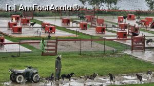 [P19] canisa de husky » foto by robert
 - 
<span class="allrVoted glyphicon glyphicon-heart hidden" id="av1510080"></span>
<a class="m-l-10 hidden" id="sv1510080" onclick="voting_Foto_DelVot(,1510080,29187)" role="button">șterge vot <span class="glyphicon glyphicon-remove"></span></a>
<a id="v91510080" class=" c-red"  onclick="voting_Foto_SetVot(1510080)" role="button"><span class="glyphicon glyphicon-heart-empty"></span> <b>LIKE</b> = Votează poza</a> <img class="hidden"  id="f1510080W9" src="/imagini/loader.gif" border="0" /><span class="AjErrMes hidden" id="e1510080ErM"></span>