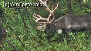 [P28] renii despre care povesteam » foto by robert
 - 
<span class="allrVoted glyphicon glyphicon-heart hidden" id="av1510089"></span>
<a class="m-l-10 hidden" id="sv1510089" onclick="voting_Foto_DelVot(,1510089,29187)" role="button">șterge vot <span class="glyphicon glyphicon-remove"></span></a>
<a id="v91510089" class=" c-red"  onclick="voting_Foto_SetVot(1510089)" role="button"><span class="glyphicon glyphicon-heart-empty"></span> <b>LIKE</b> = Votează poza</a> <img class="hidden"  id="f1510089W9" src="/imagini/loader.gif" border="0" /><span class="AjErrMes hidden" id="e1510089ErM"></span>