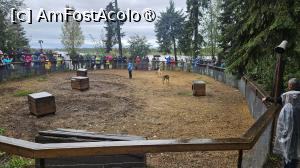 [P51]  -- <small>// FĂRĂ DESCRIERE</small> » foto by robert
 - 
<span class="allrVoted glyphicon glyphicon-heart hidden" id="av1510118"></span>
<a class="m-l-10 hidden" id="sv1510118" onclick="voting_Foto_DelVot(,1510118,29187)" role="button">șterge vot <span class="glyphicon glyphicon-remove"></span></a>
<a id="v91510118" class=" c-red"  onclick="voting_Foto_SetVot(1510118)" role="button"><span class="glyphicon glyphicon-heart-empty"></span> <b>LIKE</b> = Votează poza</a> <img class="hidden"  id="f1510118W9" src="/imagini/loader.gif" border="0" /><span class="AjErrMes hidden" id="e1510118ErM"></span>