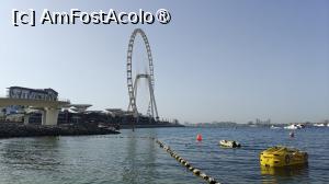 [P06] marea din dreptul complexului » foto by elenaadina
 - 
<span class="allrVoted glyphicon glyphicon-heart hidden" id="av1509611"></span>
<a class="m-l-10 hidden" id="sv1509611" onclick="voting_Foto_DelVot(,1509611,29194)" role="button">șterge vot <span class="glyphicon glyphicon-remove"></span></a>
<a id="v91509611" class=" c-red"  onclick="voting_Foto_SetVot(1509611)" role="button"><span class="glyphicon glyphicon-heart-empty"></span> <b>LIKE</b> = Votează poza</a> <img class="hidden"  id="f1509611W9" src="/imagini/loader.gif" border="0" /><span class="AjErrMes hidden" id="e1509611ErM"></span>