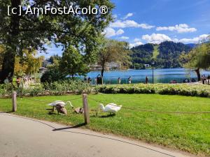 [P15] Pe aleea de promenadă din fața pensiunii » foto by crismis
 - 
<span class="allrVoted glyphicon glyphicon-heart hidden" id="av1509700"></span>
<a class="m-l-10 hidden" id="sv1509700" onclick="voting_Foto_DelVot(,1509700,29195)" role="button">șterge vot <span class="glyphicon glyphicon-remove"></span></a>
<a id="v91509700" class=" c-red"  onclick="voting_Foto_SetVot(1509700)" role="button"><span class="glyphicon glyphicon-heart-empty"></span> <b>LIKE</b> = Votează poza</a> <img class="hidden"  id="f1509700W9" src="/imagini/loader.gif" border="0" /><span class="AjErrMes hidden" id="e1509700ErM"></span>