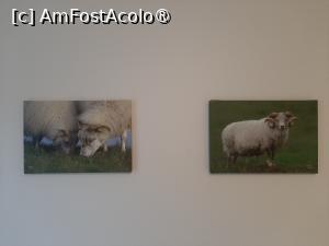 [P13] Hótel Búrfell » foto by adso
 - 
<span class="allrVoted glyphicon glyphicon-heart hidden" id="av1509808"></span>
<a class="m-l-10 hidden" id="sv1509808" onclick="voting_Foto_DelVot(,1509808,29196)" role="button">șterge vot <span class="glyphicon glyphicon-remove"></span></a>
<a id="v91509808" class=" c-red"  onclick="voting_Foto_SetVot(1509808)" role="button"><span class="glyphicon glyphicon-heart-empty"></span> <b>LIKE</b> = Votează poza</a> <img class="hidden"  id="f1509808W9" src="/imagini/loader.gif" border="0" /><span class="AjErrMes hidden" id="e1509808ErM"></span>