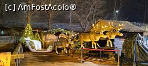 [P39] Târgul „Poveste de Crăciun” » foto by tata123 🔱
 - 
<span class="allrVoted glyphicon glyphicon-heart hidden" id="av1462762"></span>
<a class="m-l-10 hidden" id="sv1462762" onclick="voting_Foto_DelVot(,1462762,29197)" role="button">șterge vot <span class="glyphicon glyphicon-remove"></span></a>
<a id="v91462762" class=" c-red"  onclick="voting_Foto_SetVot(1462762)" role="button"><span class="glyphicon glyphicon-heart-empty"></span> <b>LIKE</b> = Votează poza</a> <img class="hidden"  id="f1462762W9" src="/imagini/loader.gif" border="0" /><span class="AjErrMes hidden" id="e1462762ErM"></span>