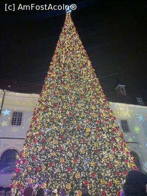 [P01] Bradul sibienilor-artificial de c&acirc;țiva ani » foto by AZE
 - 
<span class="allrVoted glyphicon glyphicon-heart hidden" id="av1341686"></span>
<a class="m-l-10 hidden" id="sv1341686" onclick="voting_Foto_DelVot(,1341686,29199)" role="button">șterge vot <span class="glyphicon glyphicon-remove"></span></a>
<a id="v91341686" class=" c-red"  onclick="voting_Foto_SetVot(1341686)" role="button"><span class="glyphicon glyphicon-heart-empty"></span> <b>LIKE</b> = Votează poza</a> <img class="hidden"  id="f1341686W9" src="/imagini/loader.gif" border="0" /><span class="AjErrMes hidden" id="e1341686ErM"></span>