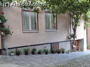 [P10] Pensiunea Cristina - prima curte » foto by Carmen Ion
 - 
<span class="allrVoted glyphicon glyphicon-heart hidden" id="av1510257"></span>
<a class="m-l-10 hidden" id="sv1510257" onclick="voting_Foto_DelVot(,1510257,29200)" role="button">șterge vot <span class="glyphicon glyphicon-remove"></span></a>
<a id="v91510257" class=" c-red"  onclick="voting_Foto_SetVot(1510257)" role="button"><span class="glyphicon glyphicon-heart-empty"></span> <b>LIKE</b> = Votează poza</a> <img class="hidden"  id="f1510257W9" src="/imagini/loader.gif" border="0" /><span class="AjErrMes hidden" id="e1510257ErM"></span>