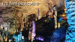 [P45]  -- <small>// FĂRĂ DESCRIERE</small> » foto by elenaadina
 - 
<span class="allrVoted glyphicon glyphicon-heart hidden" id="av1507091"></span>
<a class="m-l-10 hidden" id="sv1507091" onclick="voting_Foto_DelVot(,1507091,29201)" role="button">șterge vot <span class="glyphicon glyphicon-remove"></span></a>
<a id="v91507091" class=" c-red"  onclick="voting_Foto_SetVot(1507091)" role="button"><span class="glyphicon glyphicon-heart-empty"></span> <b>LIKE</b> = Votează poza</a> <img class="hidden"  id="f1507091W9" src="/imagini/loader.gif" border="0" /><span class="AjErrMes hidden" id="e1507091ErM"></span>