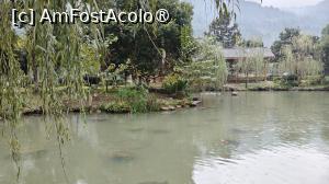 [P65]  -- <small>// FĂRĂ DESCRIERE</small> » foto by elenaadina
 - 
<span class="allrVoted glyphicon glyphicon-heart hidden" id="av1507111"></span>
<a class="m-l-10 hidden" id="sv1507111" onclick="voting_Foto_DelVot(,1507111,29201)" role="button">șterge vot <span class="glyphicon glyphicon-remove"></span></a>
<a id="v91507111" class=" c-red"  onclick="voting_Foto_SetVot(1507111)" role="button"><span class="glyphicon glyphicon-heart-empty"></span> <b>LIKE</b> = Votează poza</a> <img class="hidden"  id="f1507111W9" src="/imagini/loader.gif" border="0" /><span class="AjErrMes hidden" id="e1507111ErM"></span>