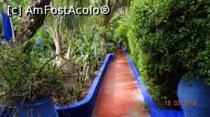 [P11] Alta alee, aceeasi Gradina Majorelle » foto by mecut
 - 
<span class="allrVoted glyphicon glyphicon-heart hidden" id="av1014831"></span>
<a class="m-l-10 hidden" id="sv1014831" onclick="voting_Foto_DelVot(,1014831,29203)" role="button">șterge vot <span class="glyphicon glyphicon-remove"></span></a>
<a id="v91014831" class=" c-red"  onclick="voting_Foto_SetVot(1014831)" role="button"><span class="glyphicon glyphicon-heart-empty"></span> <b>LIKE</b> = Votează poza</a> <img class="hidden"  id="f1014831W9" src="/imagini/loader.gif" border="0" /><span class="AjErrMes hidden" id="e1014831ErM"></span>