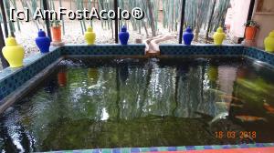 [P02] Bazinul cu pesti- Gradina Majorelle » foto by mecut
 - 
<span class="allrVoted glyphicon glyphicon-heart hidden" id="av1014822"></span>
<a class="m-l-10 hidden" id="sv1014822" onclick="voting_Foto_DelVot(,1014822,29203)" role="button">șterge vot <span class="glyphicon glyphicon-remove"></span></a>
<a id="v91014822" class=" c-red"  onclick="voting_Foto_SetVot(1014822)" role="button"><span class="glyphicon glyphicon-heart-empty"></span> <b>LIKE</b> = Votează poza</a> <img class="hidden"  id="f1014822W9" src="/imagini/loader.gif" border="0" /><span class="AjErrMes hidden" id="e1014822ErM"></span>