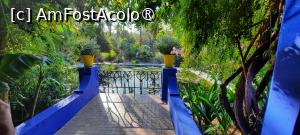 [P28] Marrakech, Grădina Majorelle, Iazul cu Nuferi, poză micșorată la jumătate » foto by mprofeanu
 - 
<span class="allrVoted glyphicon glyphicon-heart hidden" id="av1483275"></span>
<a class="m-l-10 hidden" id="sv1483275" onclick="voting_Foto_DelVot(,1483275,29203)" role="button">șterge vot <span class="glyphicon glyphicon-remove"></span></a>
<a id="v91483275" class=" c-red"  onclick="voting_Foto_SetVot(1483275)" role="button"><span class="glyphicon glyphicon-heart-empty"></span> <b>LIKE</b> = Votează poza</a> <img class="hidden"  id="f1483275W9" src="/imagini/loader.gif" border="0" /><span class="AjErrMes hidden" id="e1483275ErM"></span>