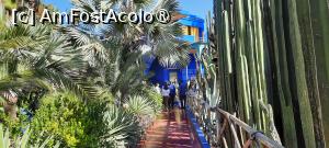 [P46] Marrakech, Grădina Majorelle, Prin Grădina viu colorată, muzeul văzut de pe altă alee » foto by mprofeanu
 - 
<span class="allrVoted glyphicon glyphicon-heart hidden" id="av1483293"></span>
<a class="m-l-10 hidden" id="sv1483293" onclick="voting_Foto_DelVot(,1483293,29203)" role="button">șterge vot <span class="glyphicon glyphicon-remove"></span></a>
<a id="v91483293" class=" c-red"  onclick="voting_Foto_SetVot(1483293)" role="button"><span class="glyphicon glyphicon-heart-empty"></span> <b>LIKE</b> = Votează poza</a> <img class="hidden"  id="f1483293W9" src="/imagini/loader.gif" border="0" /><span class="AjErrMes hidden" id="e1483293ErM"></span>