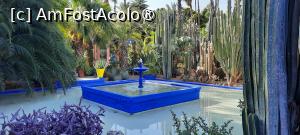 [P48] Marrakech, Grădina Majorelle, Printre cactuși, lângă Fântână » foto by mprofeanu
 - 
<span class="allrVoted glyphicon glyphicon-heart hidden" id="av1483295"></span>
<a class="m-l-10 hidden" id="sv1483295" onclick="voting_Foto_DelVot(,1483295,29203)" role="button">șterge vot <span class="glyphicon glyphicon-remove"></span></a>
<a id="v91483295" class=" c-red"  onclick="voting_Foto_SetVot(1483295)" role="button"><span class="glyphicon glyphicon-heart-empty"></span> <b>LIKE</b> = Votează poza</a> <img class="hidden"  id="f1483295W9" src="/imagini/loader.gif" border="0" /><span class="AjErrMes hidden" id="e1483295ErM"></span>