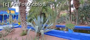 [P47] Clădirea Muzeului Artelor Berbere și Canalul de Irigație » foto by irinad
 - 
<span class="allrVoted glyphicon glyphicon-heart hidden" id="av1510651"></span>
<a class="m-l-10 hidden" id="sv1510651" onclick="voting_Foto_DelVot(,1510651,29203)" role="button">șterge vot <span class="glyphicon glyphicon-remove"></span></a>
<a id="v91510651" class=" c-red"  onclick="voting_Foto_SetVot(1510651)" role="button"><span class="glyphicon glyphicon-heart-empty"></span> <b>LIKE</b> = Votează poza</a> <img class="hidden"  id="f1510651W9" src="/imagini/loader.gif" border="0" /><span class="AjErrMes hidden" id="e1510651ErM"></span>