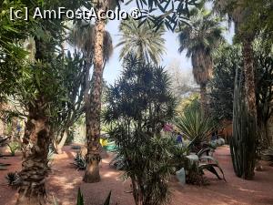 [P15] Grădina privată a Vilei Oasis » foto by adso
 - 
<span class="allrVoted glyphicon glyphicon-heart hidden" id="av1524797"></span>
<a class="m-l-10 hidden" id="sv1524797" onclick="voting_Foto_DelVot(,1524797,29203)" role="button">șterge vot <span class="glyphicon glyphicon-remove"></span></a>
<a id="v91524797" class=" c-red"  onclick="voting_Foto_SetVot(1524797)" role="button"><span class="glyphicon glyphicon-heart-empty"></span> <b>LIKE</b> = Votează poza</a> <img class="hidden"  id="f1524797W9" src="/imagini/loader.gif" border="0" /><span class="AjErrMes hidden" id="e1524797ErM"></span>