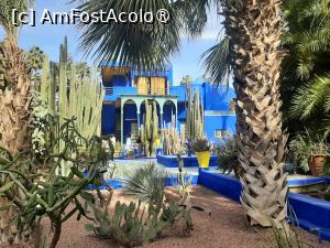 [P02] Fostul studio al lui Jacques Majorelle, actualmente Muzeul de Artă Berberă » foto by adso
 - 
<span class="allrVoted glyphicon glyphicon-heart hidden" id="av1524784"></span>
<a class="m-l-10 hidden" id="sv1524784" onclick="voting_Foto_DelVot(,1524784,29203)" role="button">șterge vot <span class="glyphicon glyphicon-remove"></span></a>
<a id="v91524784" class=" c-red"  onclick="voting_Foto_SetVot(1524784)" role="button"><span class="glyphicon glyphicon-heart-empty"></span> <b>LIKE</b> = Votează poza</a> <img class="hidden"  id="f1524784W9" src="/imagini/loader.gif" border="0" /><span class="AjErrMes hidden" id="e1524784ErM"></span>