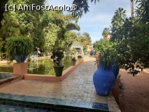 [P21] Grădina privată a Vilei Oasis » foto by adso
 - 
<span class="allrVoted glyphicon glyphicon-heart hidden" id="av1524803"></span>
<a class="m-l-10 hidden" id="sv1524803" onclick="voting_Foto_DelVot(,1524803,29203)" role="button">șterge vot <span class="glyphicon glyphicon-remove"></span></a>
<a id="v91524803" class=" c-red"  onclick="voting_Foto_SetVot(1524803)" role="button"><span class="glyphicon glyphicon-heart-empty"></span> <b>LIKE</b> = Votează poza</a> <img class="hidden"  id="f1524803W9" src="/imagini/loader.gif" border="0" /><span class="AjErrMes hidden" id="e1524803ErM"></span>