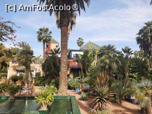 [P28] Villa Oasis » foto by adso
 - 
<span class="allrVoted glyphicon glyphicon-heart hidden" id="av1524810"></span>
<a class="m-l-10 hidden" id="sv1524810" onclick="voting_Foto_DelVot(,1524810,29203)" role="button">șterge vot <span class="glyphicon glyphicon-remove"></span></a>
<a id="v91524810" class=" c-red"  onclick="voting_Foto_SetVot(1524810)" role="button"><span class="glyphicon glyphicon-heart-empty"></span> <b>LIKE</b> = Votează poza</a> <img class="hidden"  id="f1524810W9" src="/imagini/loader.gif" border="0" /><span class="AjErrMes hidden" id="e1524810ErM"></span>