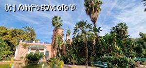 [P29] Villa Oasis » foto by adso
 - 
<span class="allrVoted glyphicon glyphicon-heart hidden" id="av1524811"></span>
<a class="m-l-10 hidden" id="sv1524811" onclick="voting_Foto_DelVot(,1524811,29203)" role="button">șterge vot <span class="glyphicon glyphicon-remove"></span></a>
<a id="v91524811" class=" c-red"  onclick="voting_Foto_SetVot(1524811)" role="button"><span class="glyphicon glyphicon-heart-empty"></span> <b>LIKE</b> = Votează poza</a> <img class="hidden"  id="f1524811W9" src="/imagini/loader.gif" border="0" /><span class="AjErrMes hidden" id="e1524811ErM"></span>