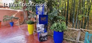 [P06] Grădina privată a Vilei Oasis » foto by adso
 - 
<span class="allrVoted glyphicon glyphicon-heart hidden" id="av1524788"></span>
<a class="m-l-10 hidden" id="sv1524788" onclick="voting_Foto_DelVot(,1524788,29203)" role="button">șterge vot <span class="glyphicon glyphicon-remove"></span></a>
<a id="v91524788" class=" c-red"  onclick="voting_Foto_SetVot(1524788)" role="button"><span class="glyphicon glyphicon-heart-empty"></span> <b>LIKE</b> = Votează poza</a> <img class="hidden"  id="f1524788W9" src="/imagini/loader.gif" border="0" /><span class="AjErrMes hidden" id="e1524788ErM"></span>