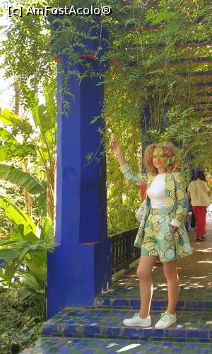 [P19]  -- <small>// FĂRĂ DESCRIERE</small> » foto by geani anto
 - 
<span class="allrVoted glyphicon glyphicon-heart hidden" id="av1309435"></span>
<a class="m-l-10 hidden" id="sv1309435" onclick="voting_Foto_DelVot(,1309435,29203)" role="button">șterge vot <span class="glyphicon glyphicon-remove"></span></a>
<a id="v91309435" class=" c-red"  onclick="voting_Foto_SetVot(1309435)" role="button"><span class="glyphicon glyphicon-heart-empty"></span> <b>LIKE</b> = Votează poza</a> <img class="hidden"  id="f1309435W9" src="/imagini/loader.gif" border="0" /><span class="AjErrMes hidden" id="e1309435ErM"></span>