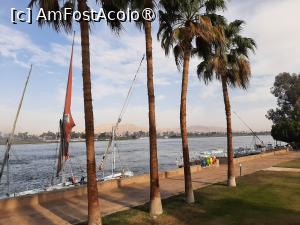 [P27] Steigenberger Resort Achti (partea către Nil) » foto by adso
 - 
<span class="allrVoted glyphicon glyphicon-heart hidden" id="av1511208"></span>
<a class="m-l-10 hidden" id="sv1511208" onclick="voting_Foto_DelVot(,1511208,29205)" role="button">șterge vot <span class="glyphicon glyphicon-remove"></span></a>
<a id="v91511208" class=" c-red"  onclick="voting_Foto_SetVot(1511208)" role="button"><span class="glyphicon glyphicon-heart-empty"></span> <b>LIKE</b> = Votează poza</a> <img class="hidden"  id="f1511208W9" src="/imagini/loader.gif" border="0" /><span class="AjErrMes hidden" id="e1511208ErM"></span>