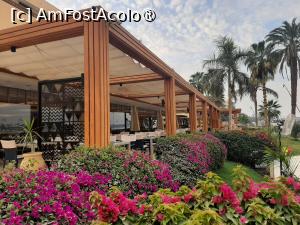 [P31] Steigenberger Resort Achti (partea către Nil) » foto by adso
 - 
<span class="allrVoted glyphicon glyphicon-heart hidden" id="av1511212"></span>
<a class="m-l-10 hidden" id="sv1511212" onclick="voting_Foto_DelVot(,1511212,29205)" role="button">șterge vot <span class="glyphicon glyphicon-remove"></span></a>
<a id="v91511212" class=" c-red"  onclick="voting_Foto_SetVot(1511212)" role="button"><span class="glyphicon glyphicon-heart-empty"></span> <b>LIKE</b> = Votează poza</a> <img class="hidden"  id="f1511212W9" src="/imagini/loader.gif" border="0" /><span class="AjErrMes hidden" id="e1511212ErM"></span>