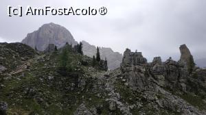 [P22] Cinque Torri di Averau » foto by elenaadina
 - 
<span class="allrVoted glyphicon glyphicon-heart hidden" id="av1511662"></span>
<a class="m-l-10 hidden" id="sv1511662" onclick="voting_Foto_DelVot(,1511662,29209)" role="button">șterge vot <span class="glyphicon glyphicon-remove"></span></a>
<a id="v91511662" class=" c-red"  onclick="voting_Foto_SetVot(1511662)" role="button"><span class="glyphicon glyphicon-heart-empty"></span> <b>LIKE</b> = Votează poza</a> <img class="hidden"  id="f1511662W9" src="/imagini/loader.gif" border="0" /><span class="AjErrMes hidden" id="e1511662ErM"></span>