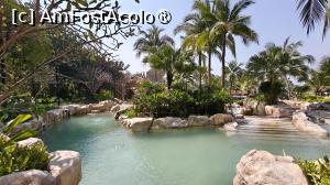 [P56] piscine resort » foto by elenaadina
 - 
<span class="allrVoted glyphicon glyphicon-heart hidden" id="av1512151"></span>
<a class="m-l-10 hidden" id="sv1512151" onclick="voting_Foto_DelVot(,1512151,29213)" role="button">șterge vot <span class="glyphicon glyphicon-remove"></span></a>
<a id="v91512151" class=" c-red"  onclick="voting_Foto_SetVot(1512151)" role="button"><span class="glyphicon glyphicon-heart-empty"></span> <b>LIKE</b> = Votează poza</a> <img class="hidden"  id="f1512151W9" src="/imagini/loader.gif" border="0" /><span class="AjErrMes hidden" id="e1512151ErM"></span>