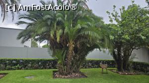 [P22] grădina din spate » foto by robert
 - 
<span class="allrVoted glyphicon glyphicon-heart hidden" id="av1512375"></span>
<a class="m-l-10 hidden" id="sv1512375" onclick="voting_Foto_DelVot(,1512375,29215)" role="button">șterge vot <span class="glyphicon glyphicon-remove"></span></a>
<a id="v91512375" class=" c-red"  onclick="voting_Foto_SetVot(1512375)" role="button"><span class="glyphicon glyphicon-heart-empty"></span> <b>LIKE</b> = Votează poza</a> <img class="hidden"  id="f1512375W9" src="/imagini/loader.gif" border="0" /><span class="AjErrMes hidden" id="e1512375ErM"></span>