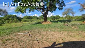 [P34] prin parcul natural » foto by robert
 - 
<span class="allrVoted glyphicon glyphicon-heart hidden" id="av1513782"></span>
<a class="m-l-10 hidden" id="sv1513782" onclick="voting_Foto_DelVot(,1513782,29216)" role="button">șterge vot <span class="glyphicon glyphicon-remove"></span></a>
<a id="v91513782" class=" c-red"  onclick="voting_Foto_SetVot(1513782)" role="button"><span class="glyphicon glyphicon-heart-empty"></span> <b>LIKE</b> = Votează poza</a> <img class="hidden"  id="f1513782W9" src="/imagini/loader.gif" border="0" /><span class="AjErrMes hidden" id="e1513782ErM"></span>