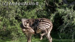 [P36] prin parcul natural » foto by robert
 - 
<span class="allrVoted glyphicon glyphicon-heart hidden" id="av1513784"></span>
<a class="m-l-10 hidden" id="sv1513784" onclick="voting_Foto_DelVot(,1513784,29216)" role="button">șterge vot <span class="glyphicon glyphicon-remove"></span></a>
<a id="v91513784" class=" c-red"  onclick="voting_Foto_SetVot(1513784)" role="button"><span class="glyphicon glyphicon-heart-empty"></span> <b>LIKE</b> = Votează poza</a> <img class="hidden"  id="f1513784W9" src="/imagini/loader.gif" border="0" /><span class="AjErrMes hidden" id="e1513784ErM"></span>